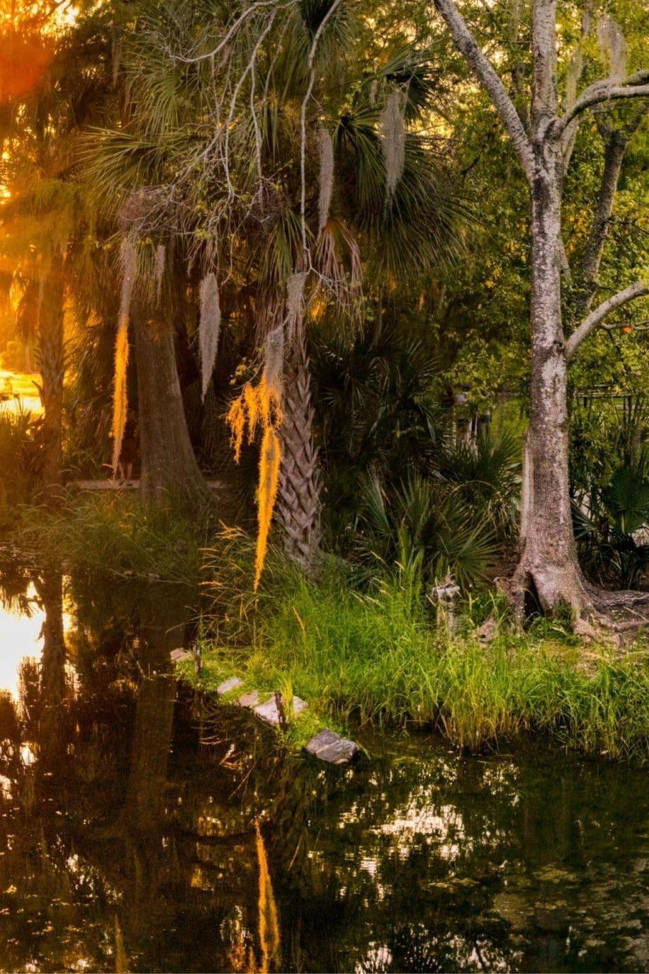 New Orleans City Park